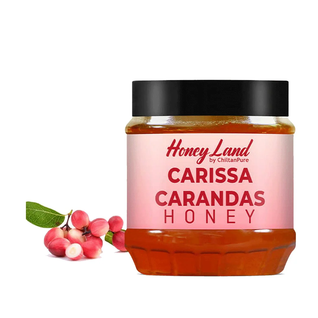 Carissa Carandas Honey 450g - Chiltan Pure
