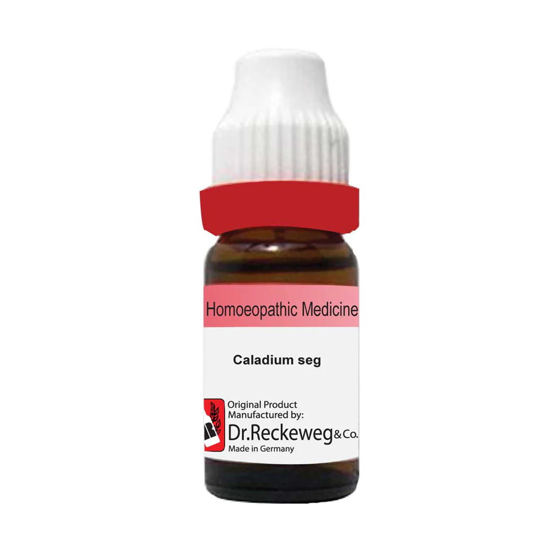 Caladium Seguinum Q, 20ml - Dr. Reckeweg