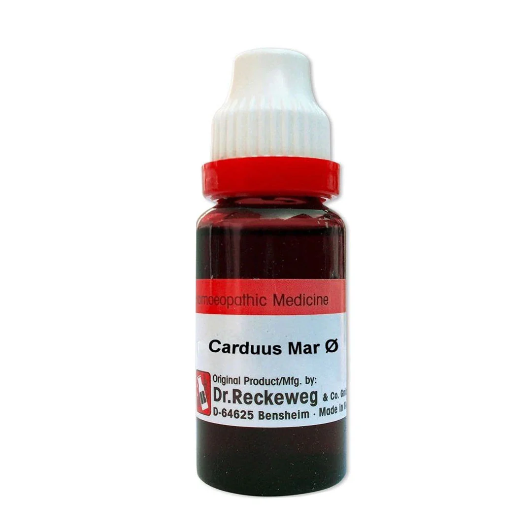 Carduus Marianus Mother Tincture Q, 20ml - Dr. Reckeweg