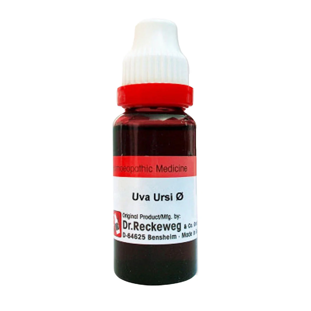 Uva Ursi Q Mother Tincture, 20ml - Dr. Reckeweg