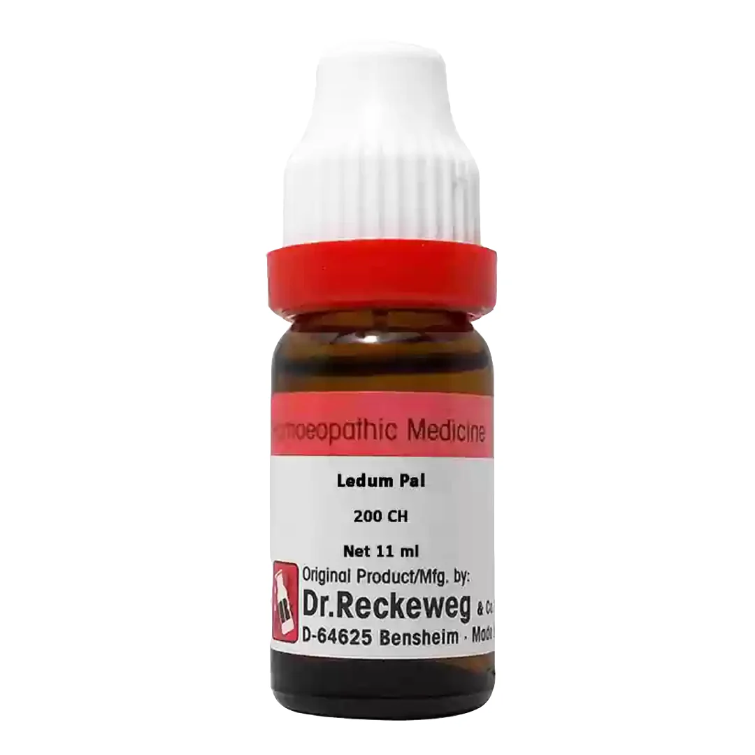 Ledum Pal 200, 11ml - Dr. Reckeweg
