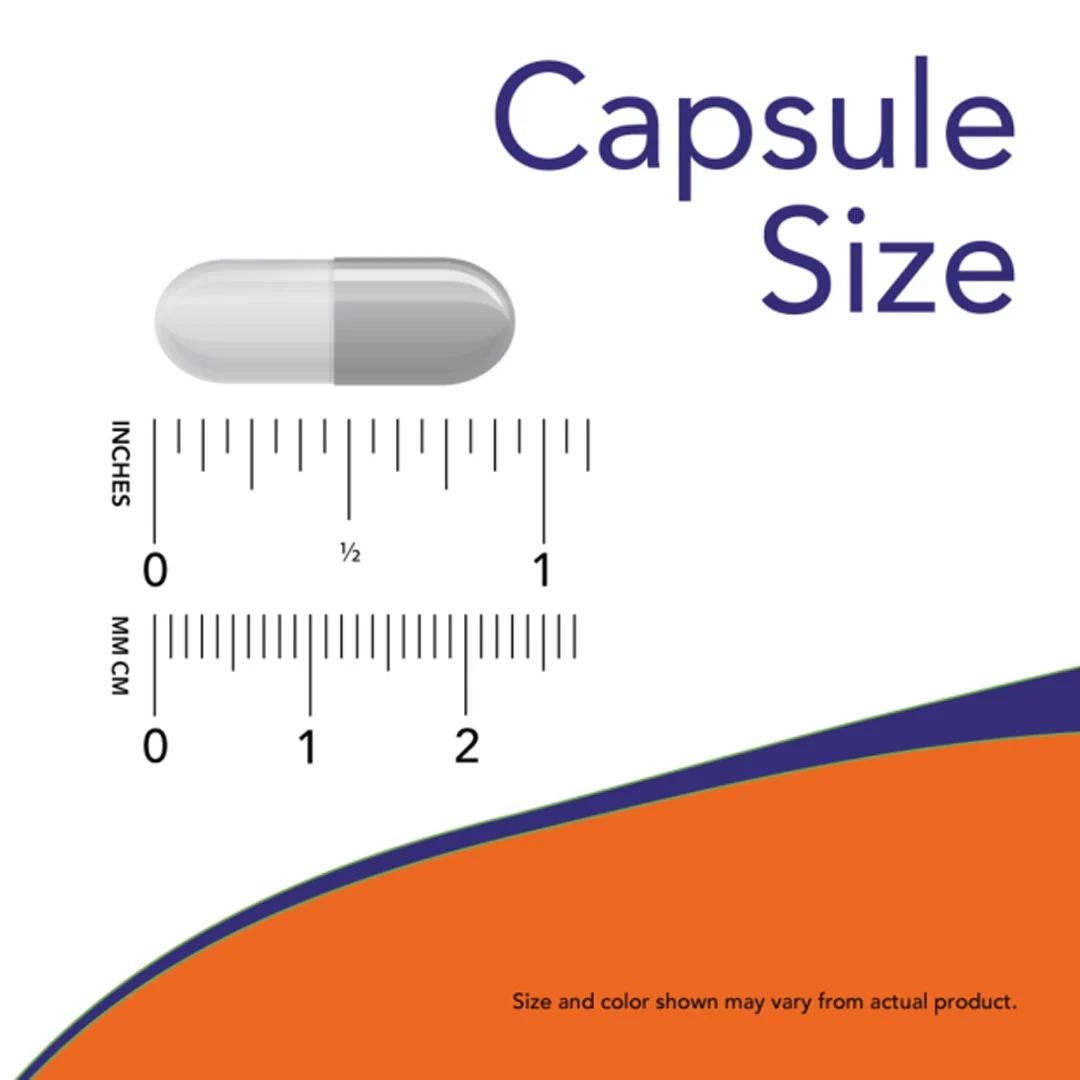 NOW L-Carnosine 500mg, 50 Ct - Image 3