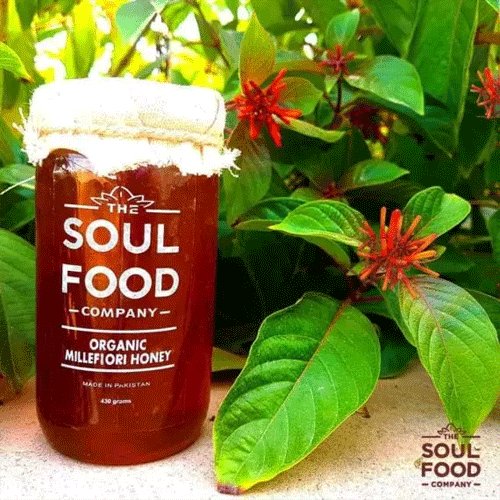 Organic Millefiori Honey 485g - The Soul Food Company
