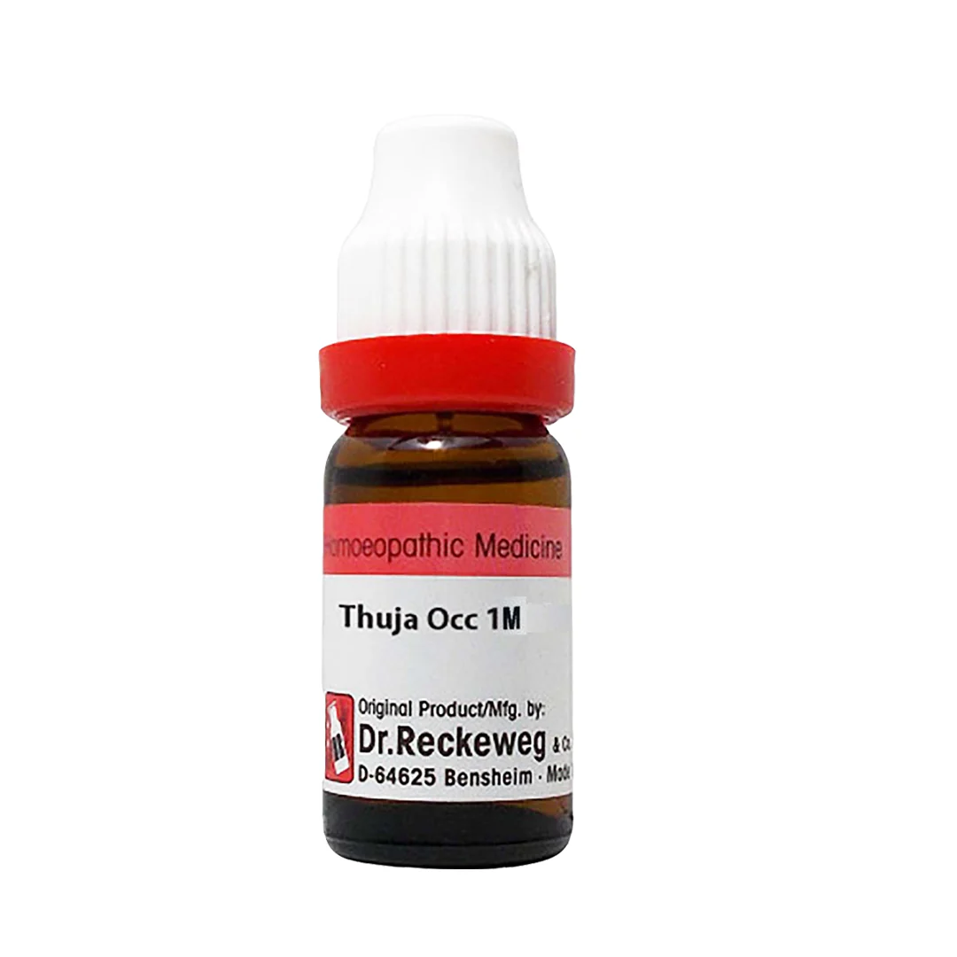 Thuja Occidentalis 1M, 11ml - Dr. Reckeweg