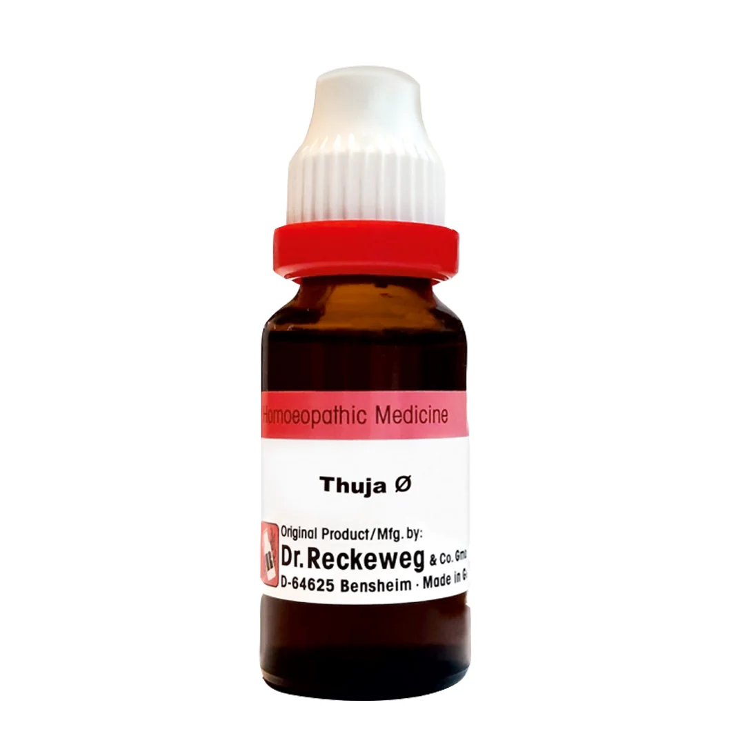 Thuja Occidentalis Ø, 20ml - Dr. Reckeweg